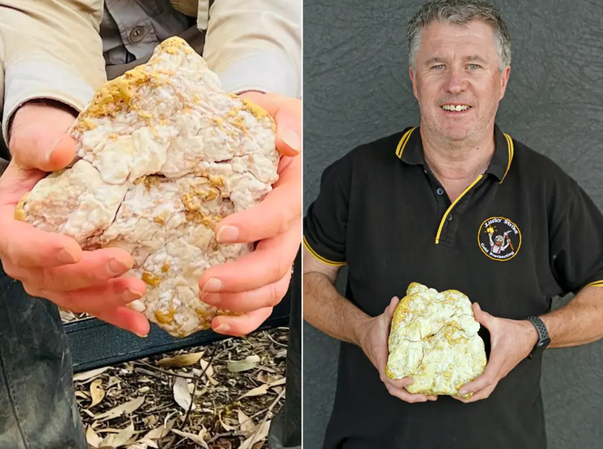 Amateur gold miner with his Equinox 800 detector discovers a multi-million-dollar gold nugget